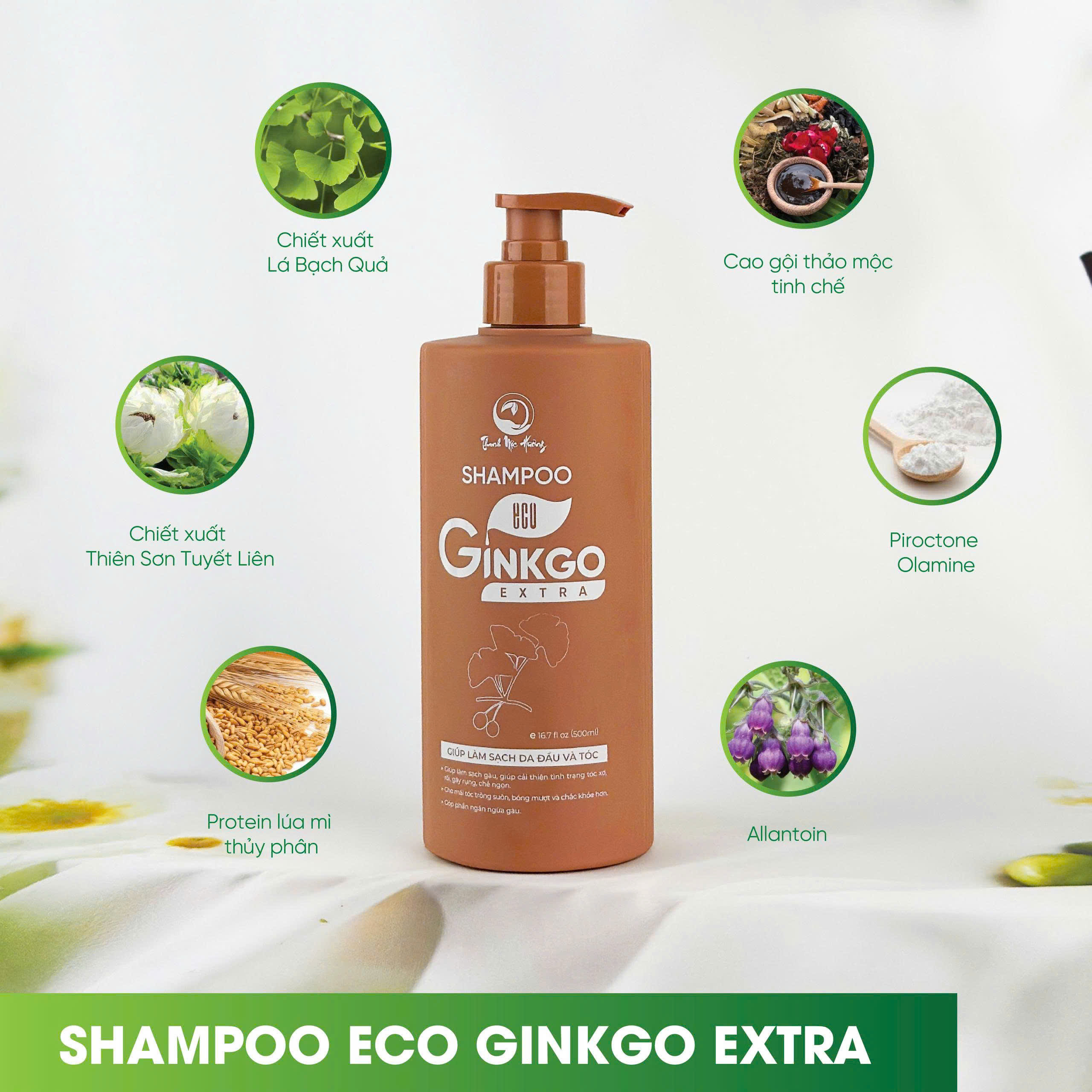 Thành phần của Dầu gội Ginkgo Thanh Mộc Hương