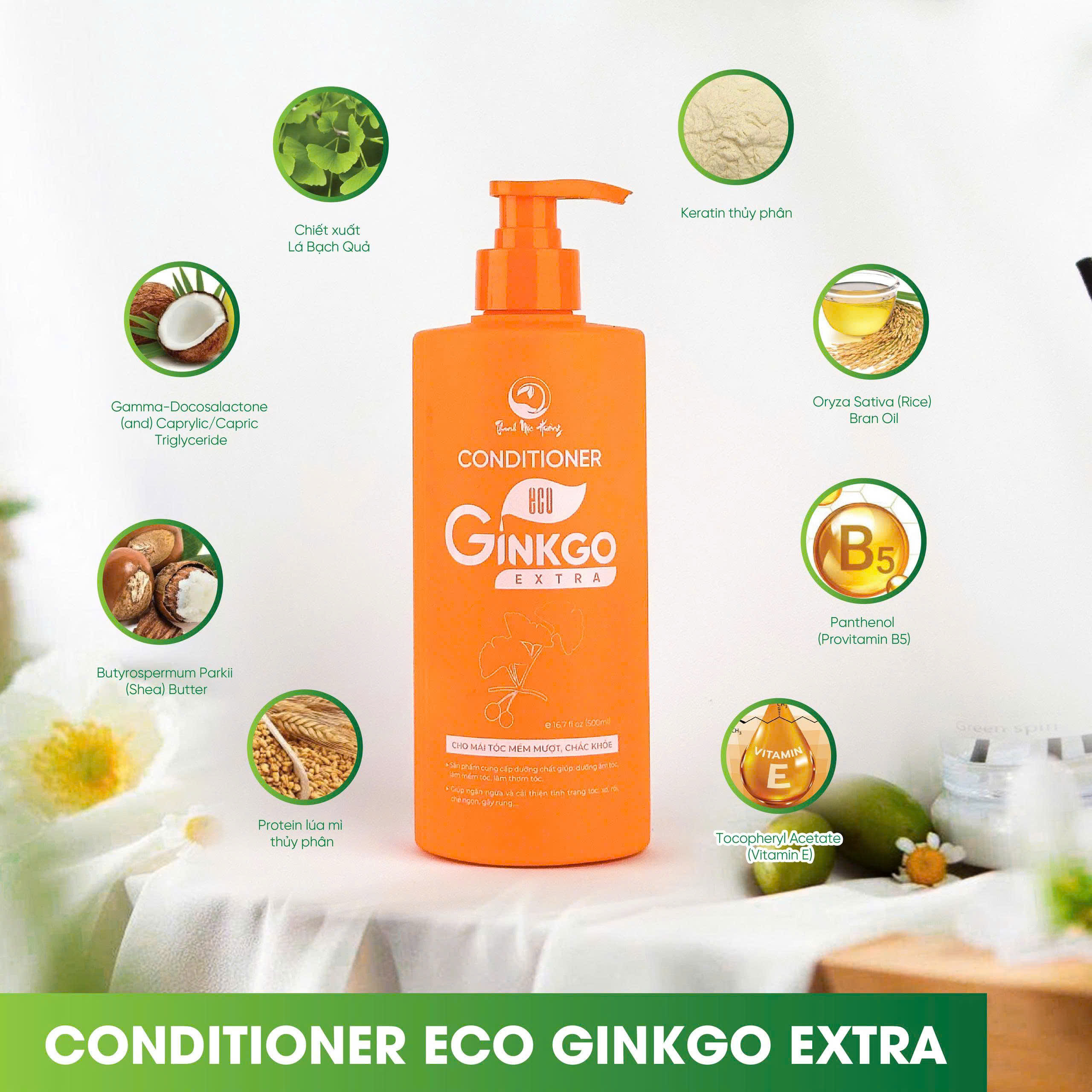 Thành phần dầu xả Ginkgo